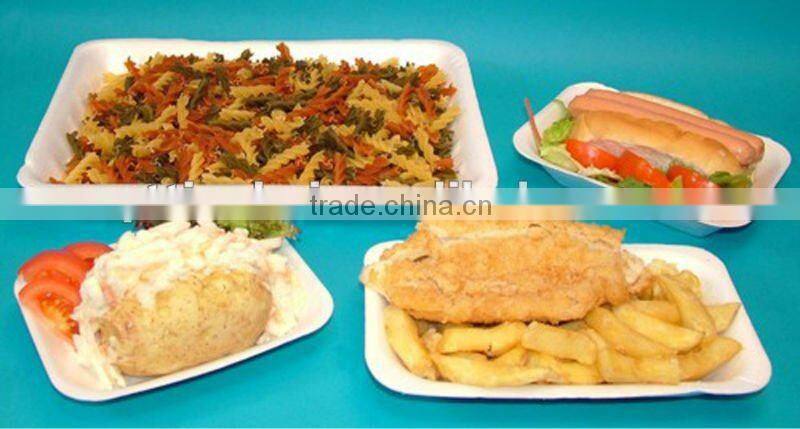 turkey project foam food box machine