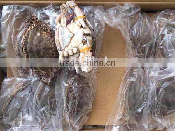 frozen whole blue swimming crab for sale