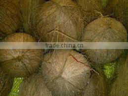 Coconut Desiccated Coconut