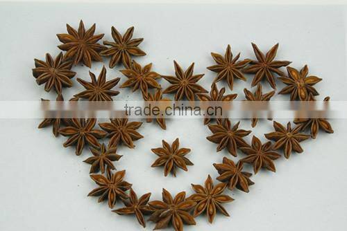 High quality dried aniseed