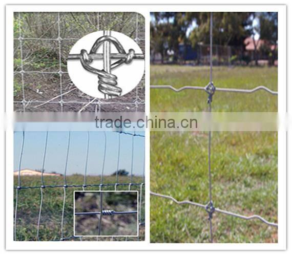 livestock field fence with high zinc coating