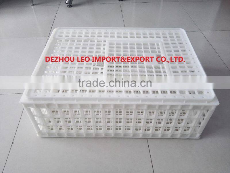 foldable plastic crate for chicken for sale