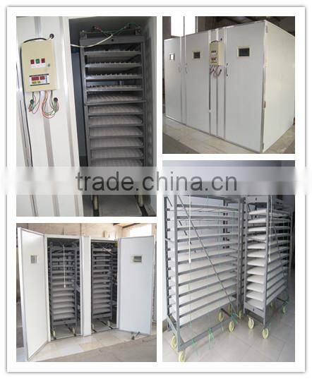 RD-12672 good quality & competitive price capcacity 12672 chicken eggs egg incubator china