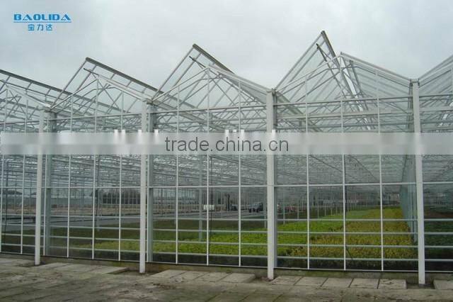 Modern Appearance used greenhouse sale/greenhouses for tomatoes for sale/commercial greenhouse for sale