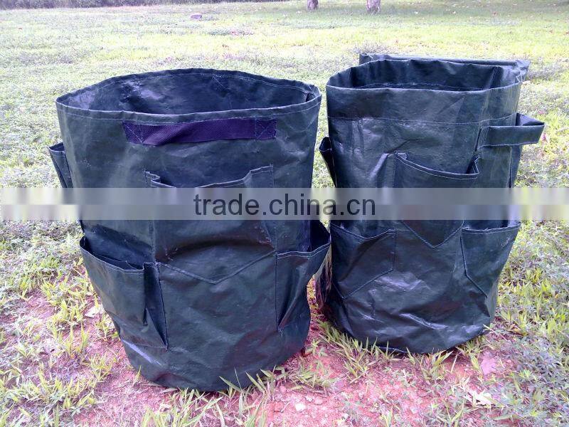 PE Green Herb Grow Bag,Herb Planter With Pockets