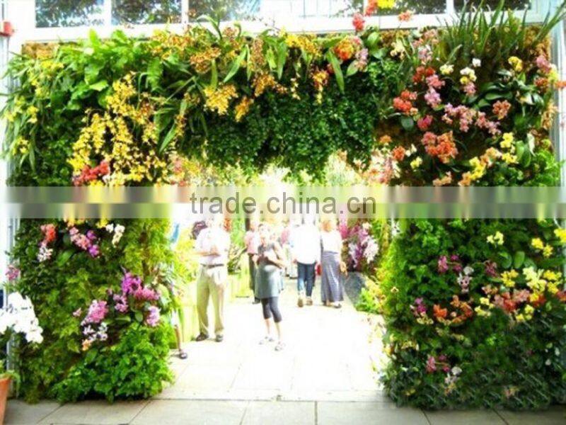 Artificial Cartoon plant wall (special offer/bargain price:/ Factory price/outdoor & indoor / green / grass plant wall)