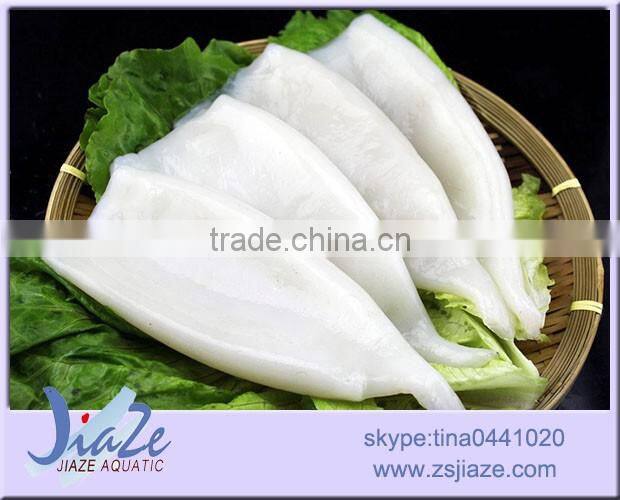frozen squid tube illex squid