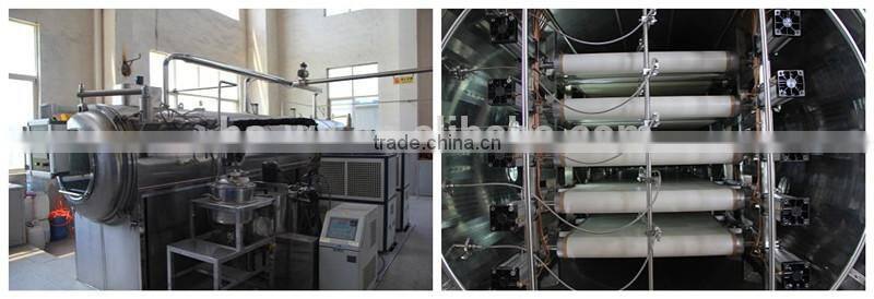 Vacuum dryer for Chinese traditional medicine extract