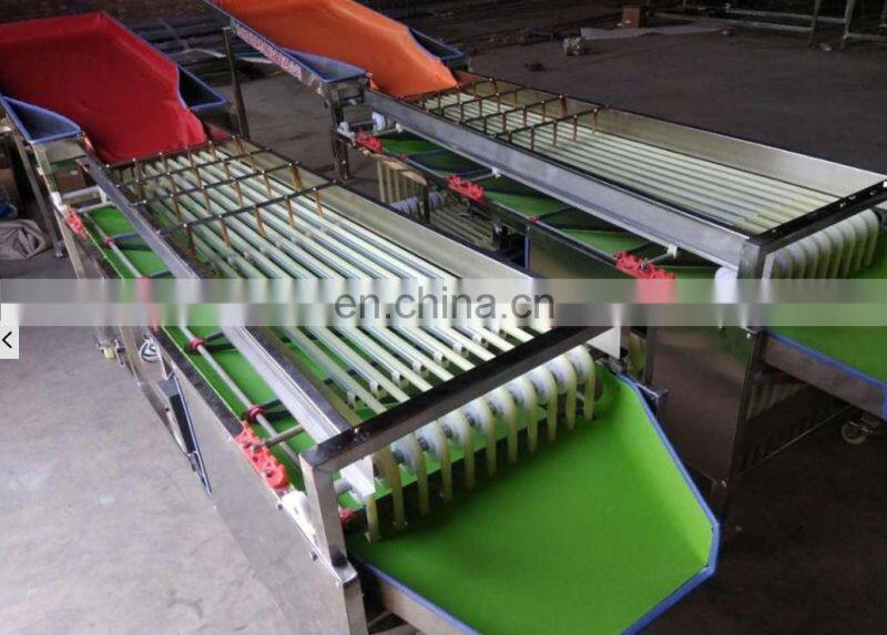 Stainless steel olive sorting machine, dates sorting machine, cherry sorting machine