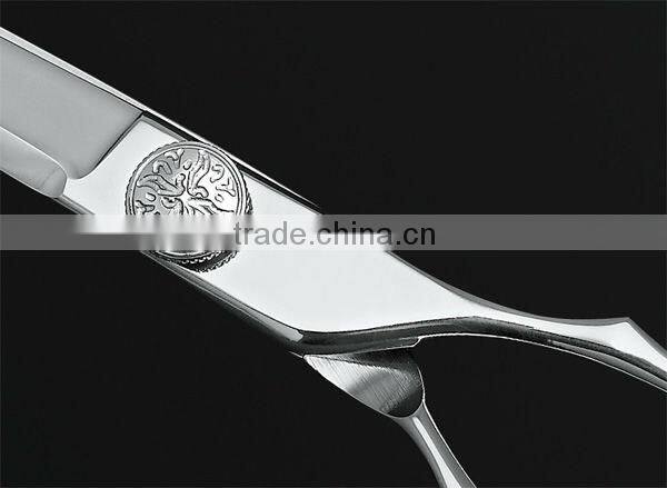 Razorline CK3 6.0" High Quality Hair Scissor Professional