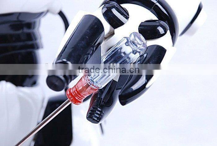 Remote Control Robot Toy RC Programmable Voice