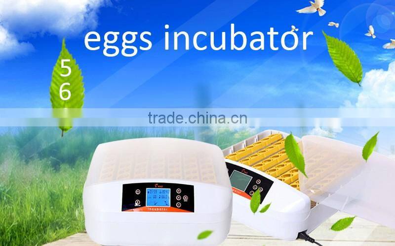 ALEX 12v 110V 220v Full Automtaic 56 solar chicken egg incubator made in china with new function of automatic egg test ( AI-56S)