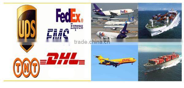 Led of china ltube8 chinese sex led tube 8 china