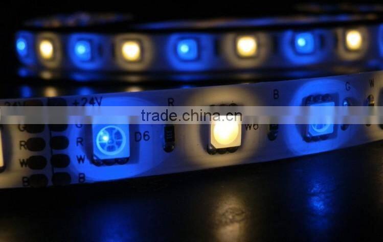 new arrival! 5050 12v 30leds rgbw LED tape/LED strips made in China