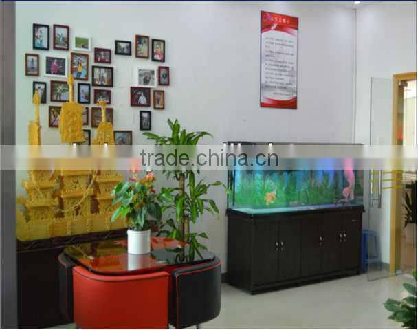 AC FM transmitter 7 infrared night vision lamp car rearview mirror camera dvr