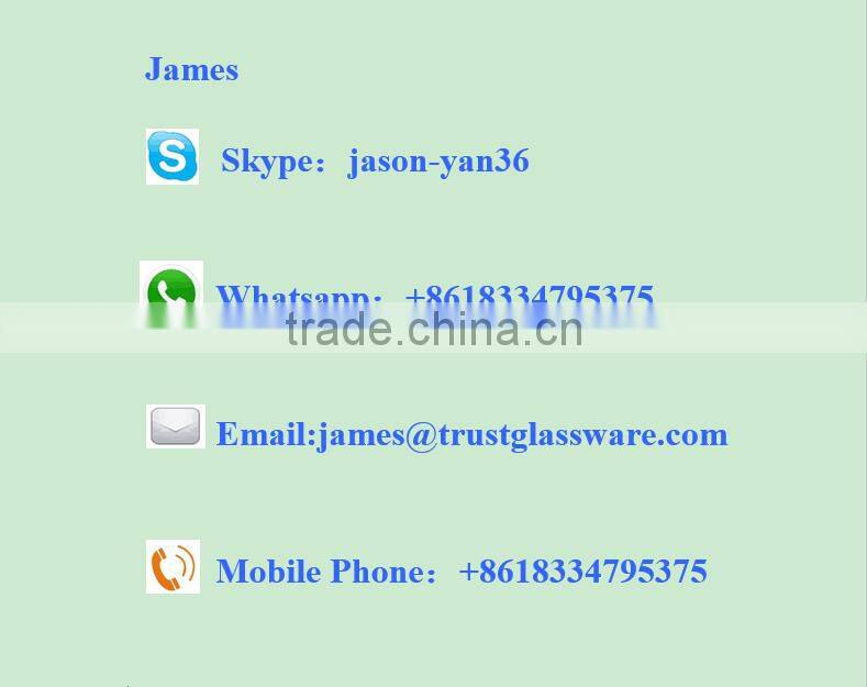 popular Purple Colorful glass vase for house decoration