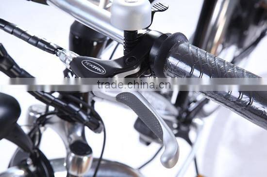 Mtb 29 inch Electric bicycle (Model CTB600U)