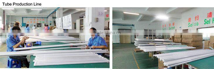 4ft 5000k Clear Cover Led 22W DLC T8 Tube