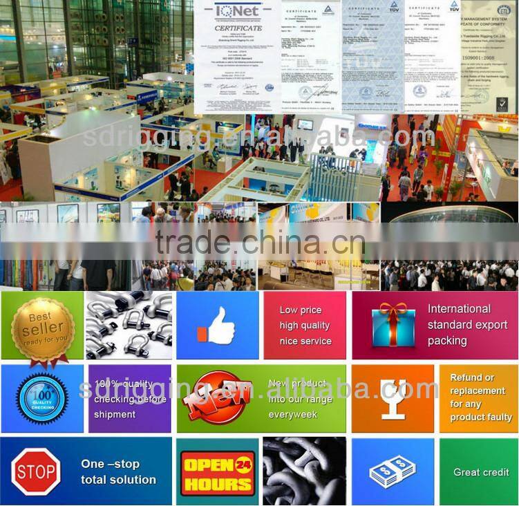 Die Casting Double Swivel Lifting Pulley