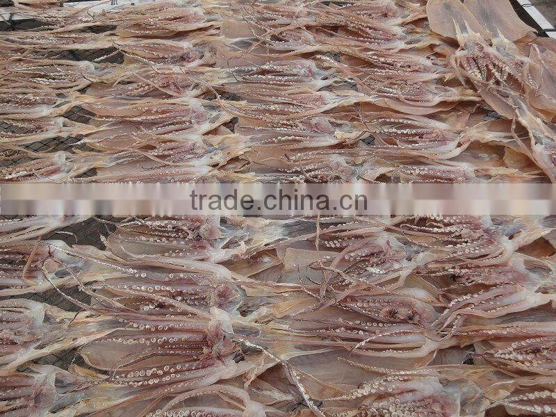 dried squid