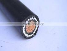600v cu al alloy xlpe pvc concentrico cable