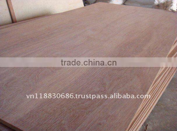 Packing plywood-manufacturer VietNam