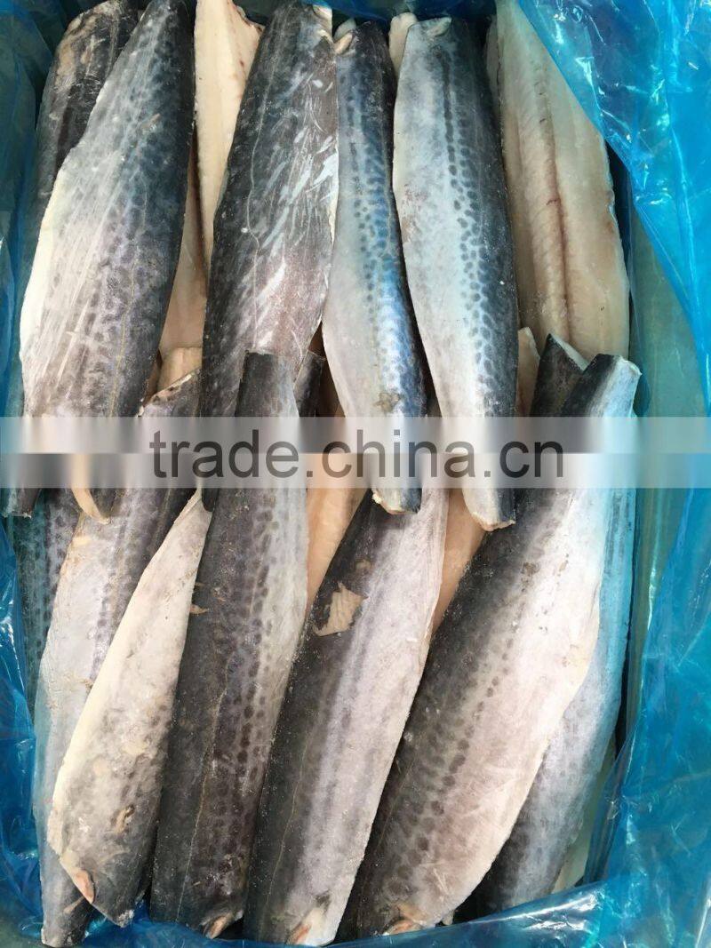 Spanish mackerel Fillet/King Fish meat