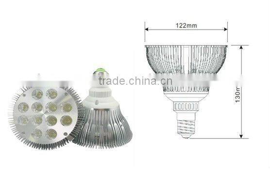 24W PAR38 LED Spotlight