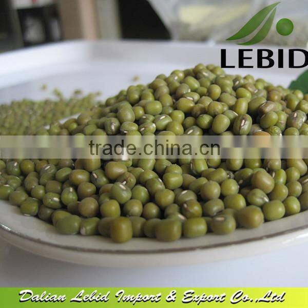 2016 Crop Green Mung Bean for Sprouting
