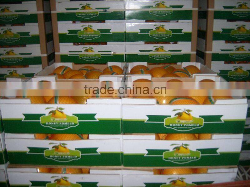 Citrus Fruits New Crop Wholesale Prices of Pomelo