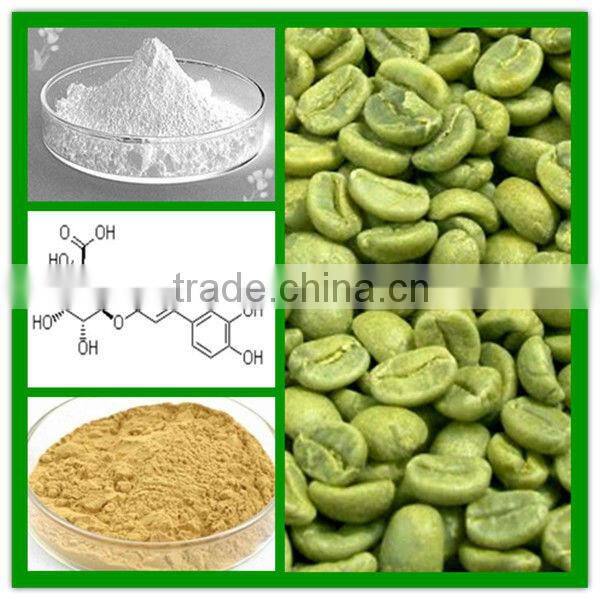 GMP Factory Supply Natural Green Coffee Bean Extract