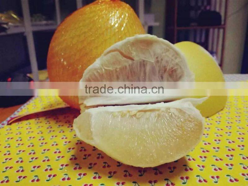 Delicious fruit pomelo