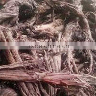 Large Amount Sinkiang Arnebia Root