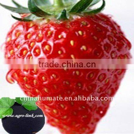 solid sodium humic acid (HA-Na) muck