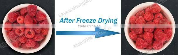 1-2kg fruit vacuum freeze drying machine