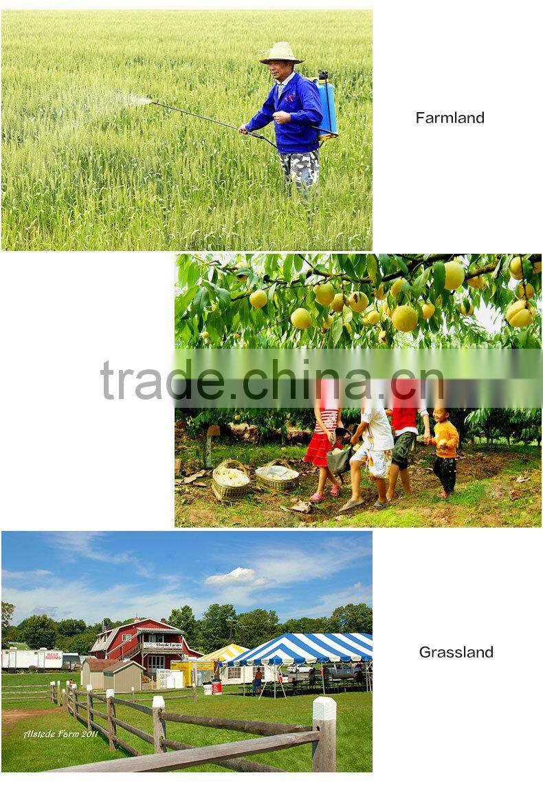 2015 new hand pump pressure sprayerr