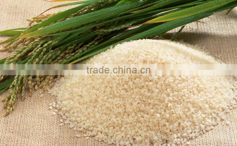 40 - 50t/h paddy rice belt conveyor for grain