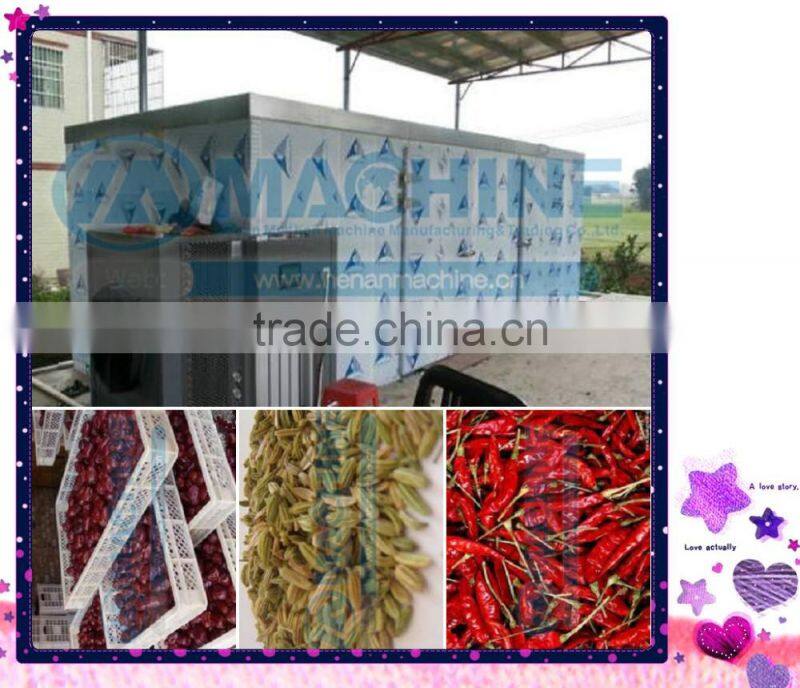 Hot sell red dates dehydrator lemon and mango fruits drying machines