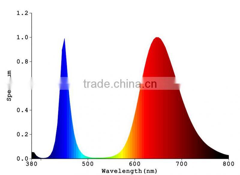 300w cob led indoor grow light kits , grow lamp for grow tent kit