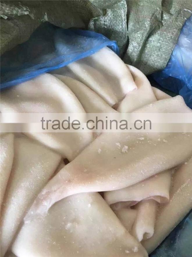 High Quality Squid tube from China on Hot Sale