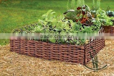 garden willow bordering