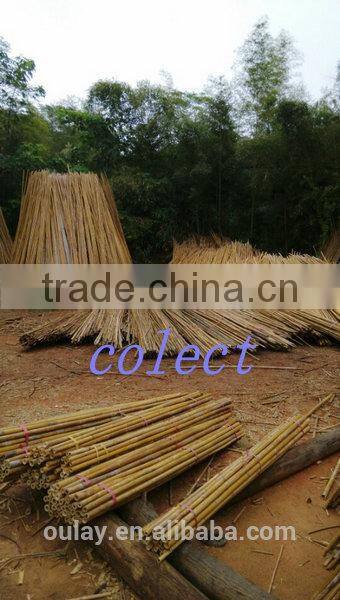 bamboo garden sticks /bamboo poles/bamboo canes