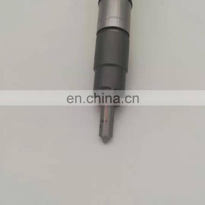 Common rail injector 0445110343