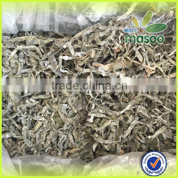 Sun dried cut kelp seaweed , new crop laminaria for sale
