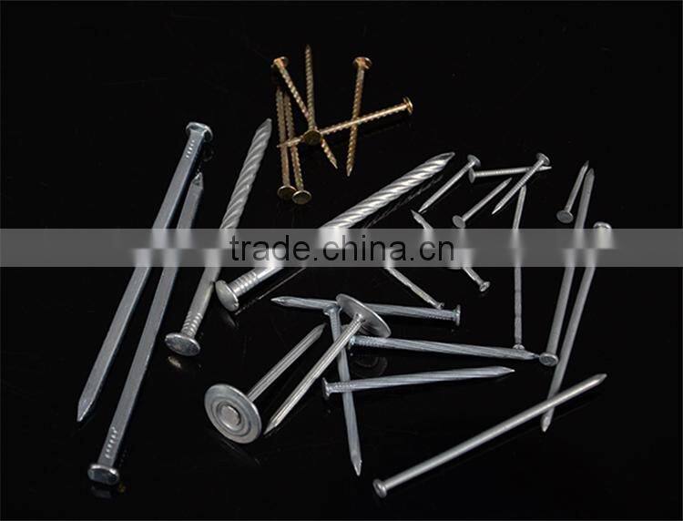 round head iron nails wire nails common nails