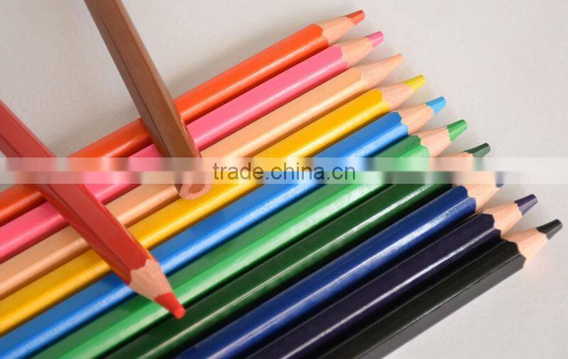 7" Hex. Giant Coloured Pencils