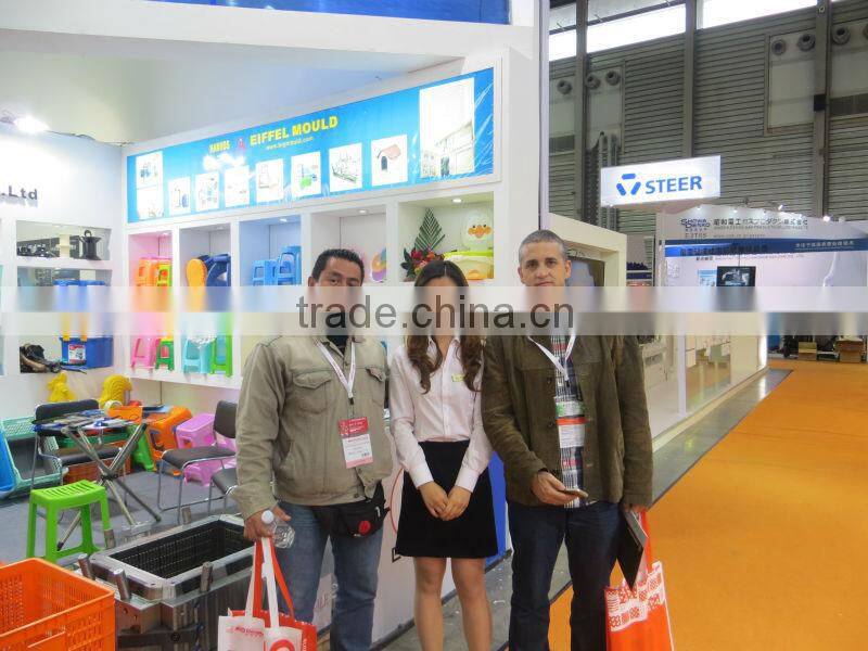 bottle blowing mould ,pet blow moulding,blow moulding plastics