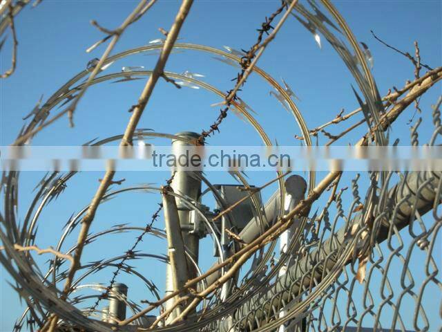 All kinds of competitive price razor barbed wire
