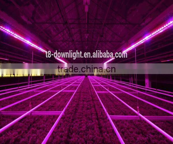 High Power 15/30/45/60w IP68 waterproof full spectrum led lighting for plants