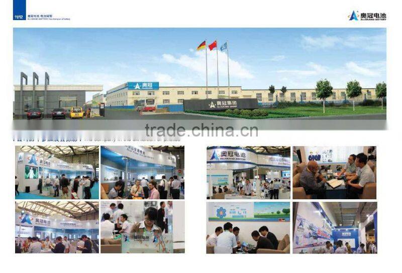 12V100Ah (6-EVFJ-100) EV GEL Battery